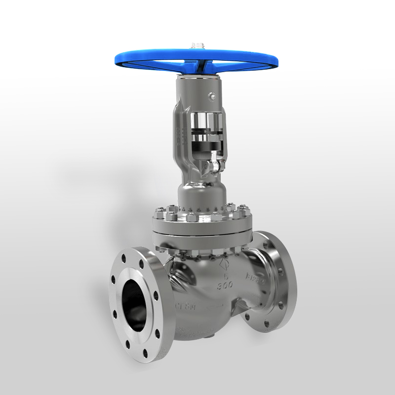 Globe Valve Maze Oil & Gas
